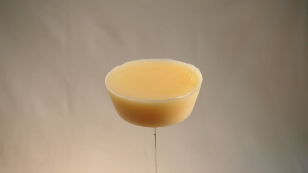 Walrus - Ski wax - 40g